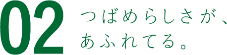 つばめらしさが、あふれてる。